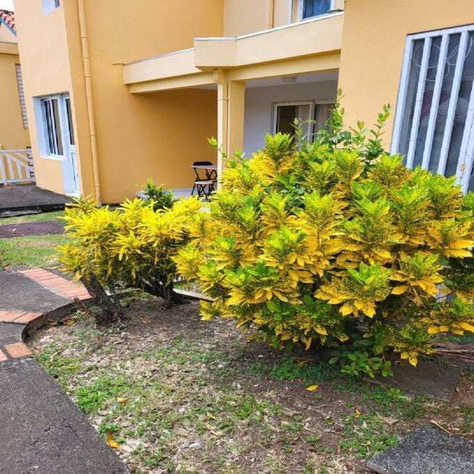 Appartement A Saint-Anne - Residence Beauregard Sainte-Anne Kültér fotó
